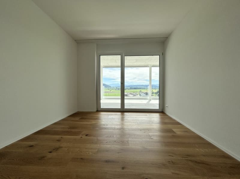 Exklusive 5.5-Zimmerwohnung (6)