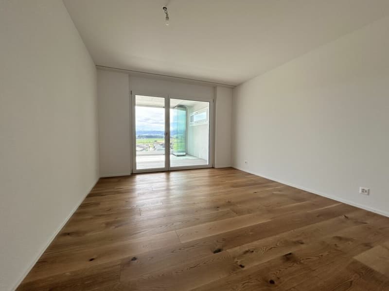 Exklusive 5.5-Zimmerwohnung (5)