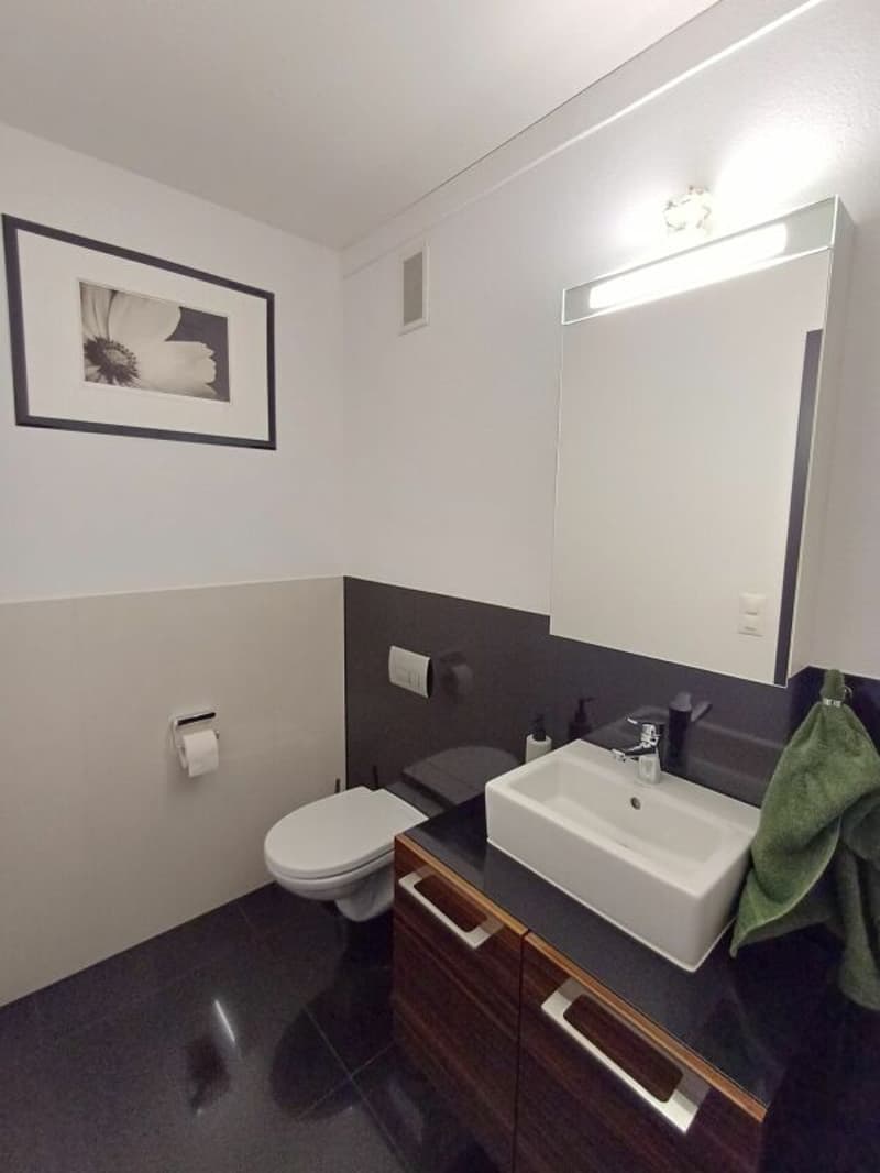 Grosszügige 4.5-Zimmer-Attikawohnung im Zentrum von Grosswangen (5)