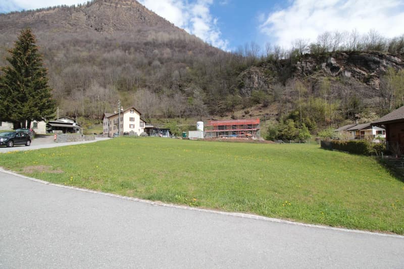 TERRENO EDIFICABILE PER RESIDENZE PRIMARIE: VIVERE NEL VERDE E A CONTATTO CON LA NATURA (8)