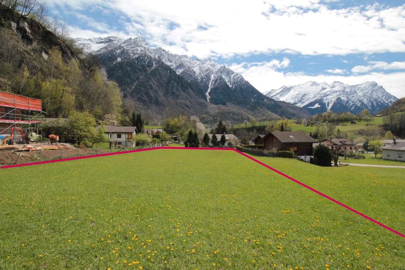 TERRENO EDIFICABILE PER RESIDENZE PRIMARIE: VIVERE NEL VERDE E A CONTATTO CON LA NATURA (7)