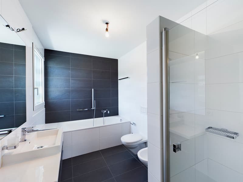 modern bathroom, white tiles, black tiles, bathtub, shower, toilet, sink, faucet, mirror, glass door