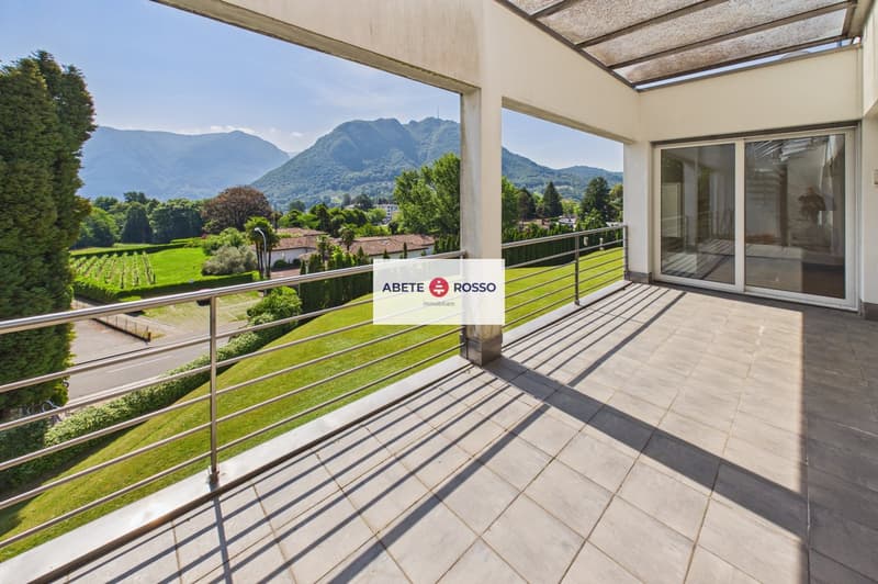 Splendido attico di 4.5 locali con vista e 1 monolocale separato - Collina d'Oro (32)