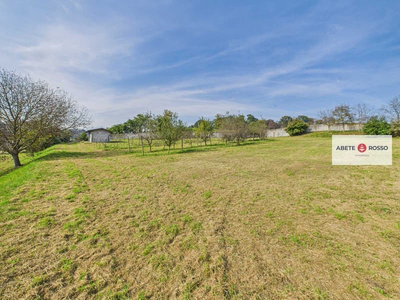 large field with some green areas and small trees, small building in the background, dry grass