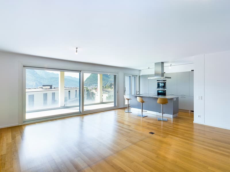 ELEGANTE APPARTAMENTO: AMPIO, MODERNO, CONTUTTI I CONFORT, VICINO A STAZIONE E CENTRO LUGANO (3)
