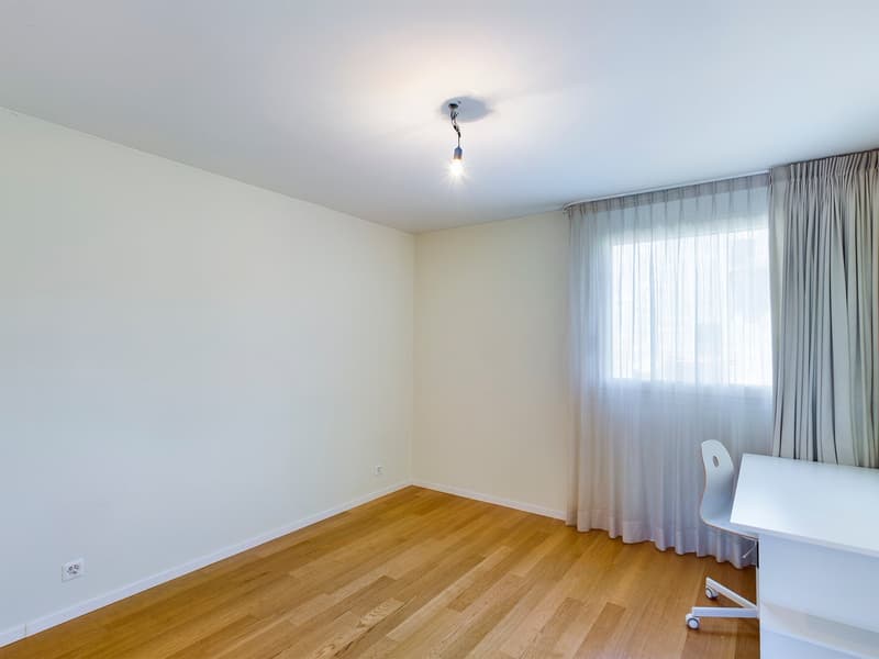 ELEGANTE APPARTAMENTO: AMPIO, MODERNO, CONTUTTI I CONFORT, VICINO A STAZIONE E CENTRO LUGANO (6)