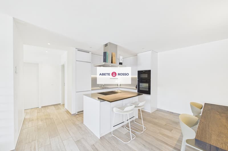 Splendido attico di 4.5 locali con ampia terrazza e finiture moderne. (15)