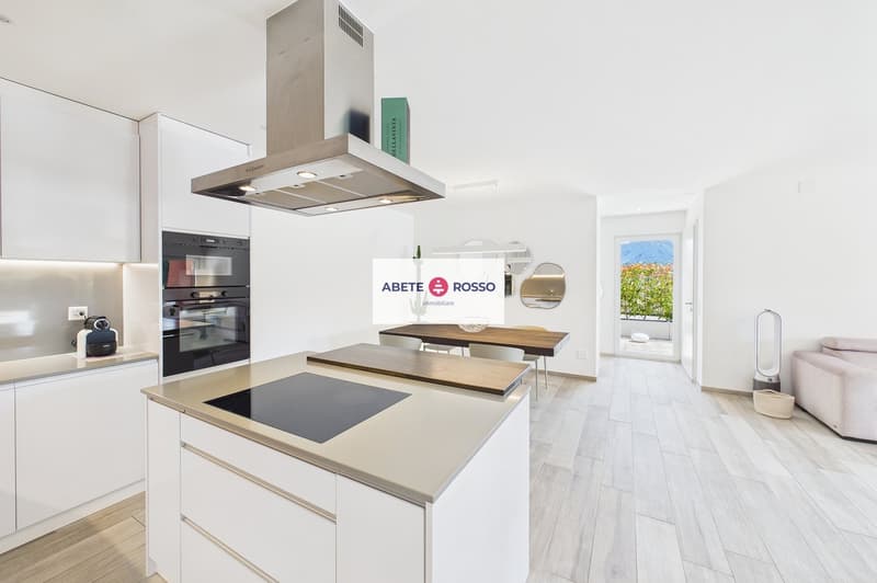 Splendido attico di 4.5 locali con ampia terrazza e finiture moderne. (21)