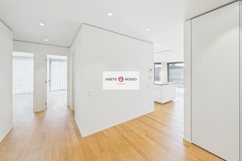 ELEGANTE APPARTAMENTO: AMPIO, MODERNO, TRA BENESSERE E NATURA, VICINO A STAZIONE E CENTRO LUGANO (16)