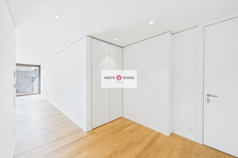ELEGANTE APPARTAMENTO: AMPIO, MODERNO, TRA BENESSERE E NATURA, VICINO A STAZIONE E CENTRO LUGANO (13)