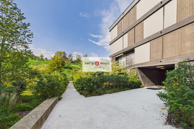 ELEGANTE APPARTAMENTO: AMPIO, MODERNO, TRA BENESSERE E NATURA, VICINO A STAZIONE E CENTRO LUGANO (4)
