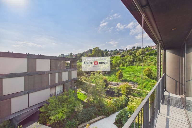 ELEGANTE APPARTAMENTO: AMPIO, MODERNO, TRA BENESSERE E NATURA, VICINO A STAZIONE E CENTRO LUGANO (10)