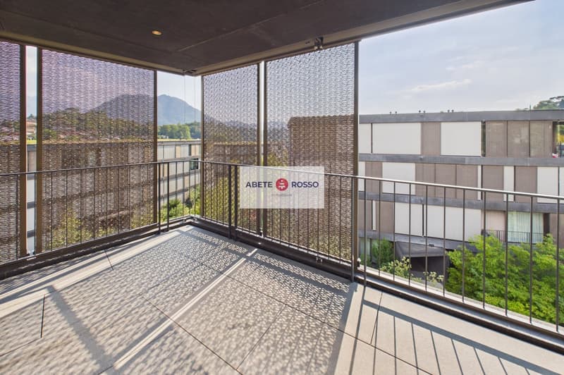 ELEGANTE APPARTAMENTO: AMPIO, MODERNO, TRA BENESSERE E NATURA, VICINO A STAZIONE E CENTRO LUGANO (9)
