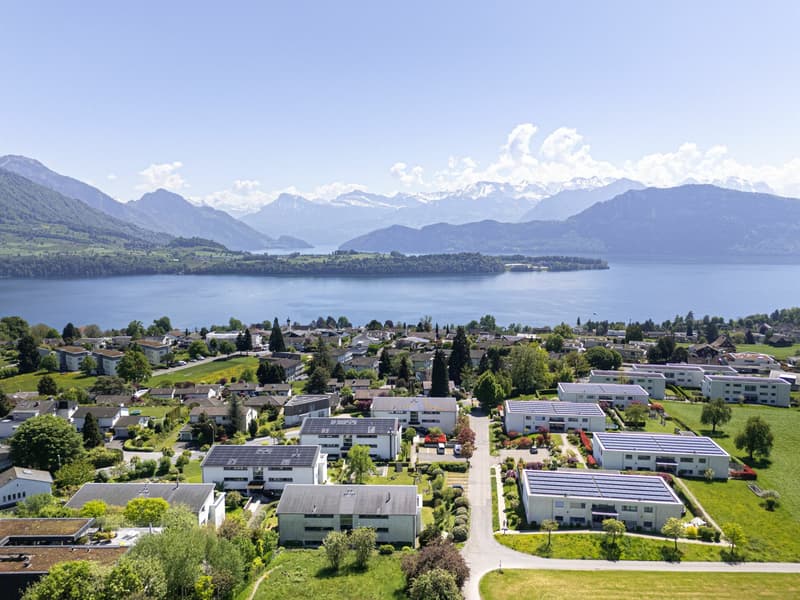 Attikawohnung mit Alpenpanorama in Meggen (12)