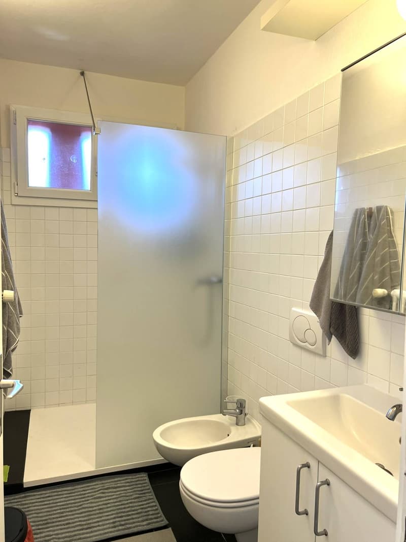 Appartamento - Lugano (7)