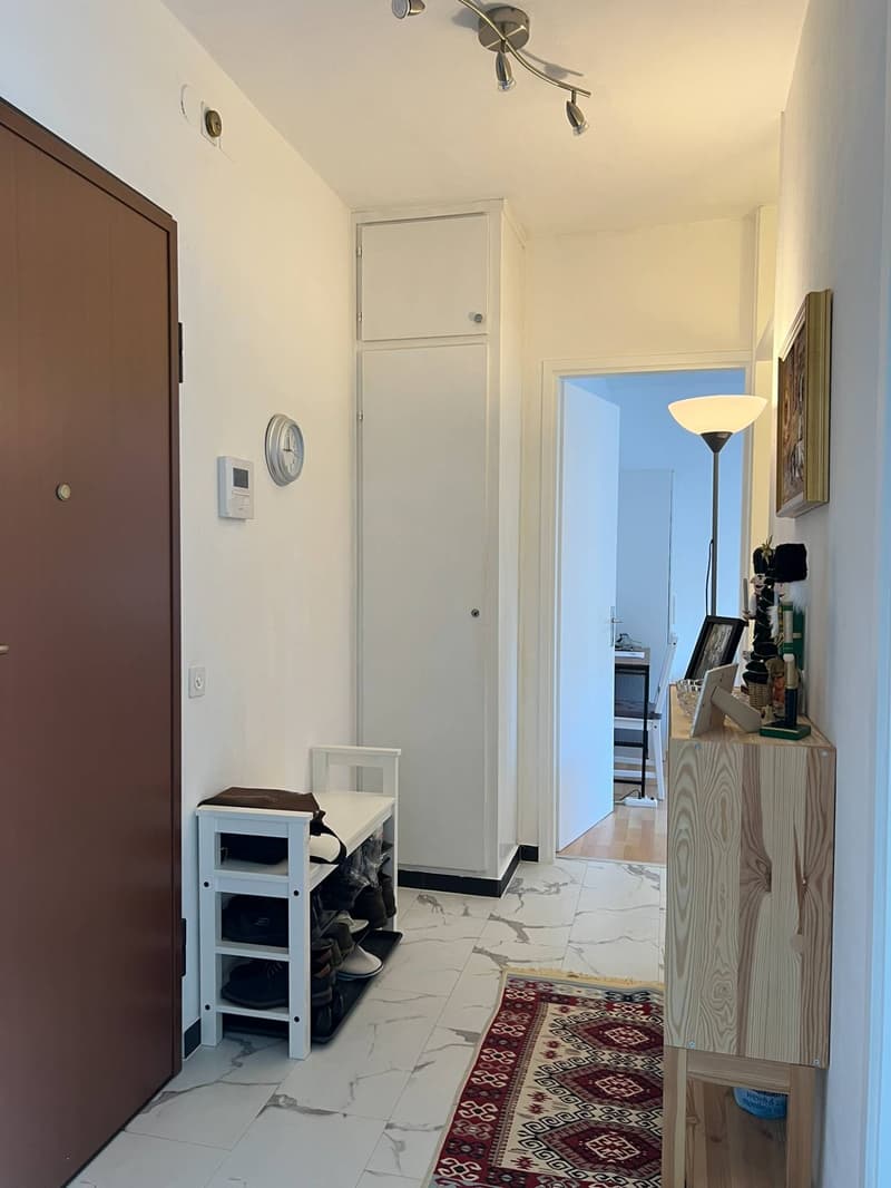 Appartamento - Lugano (4)