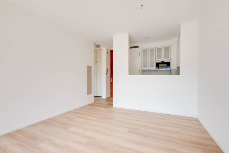 Appartamento - Lugano (3)
