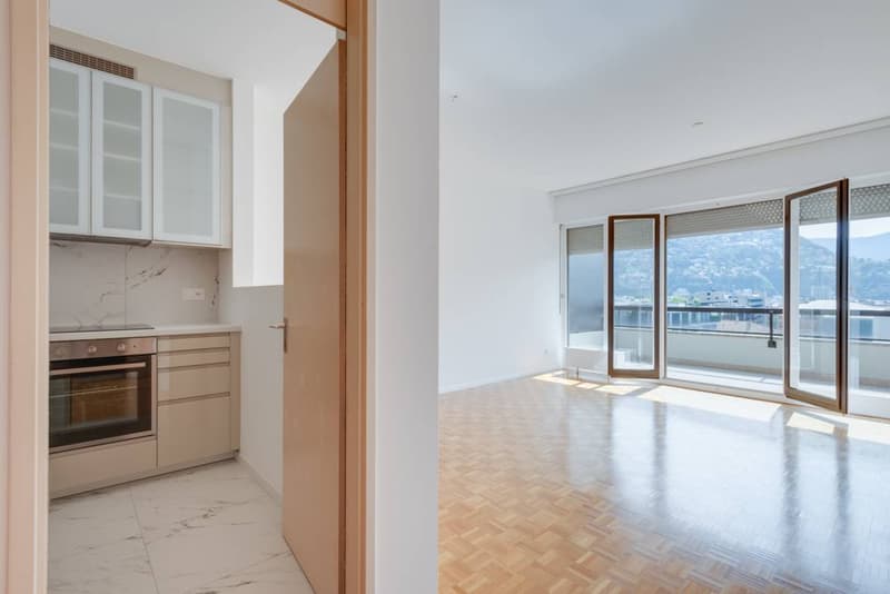 Appartamento - Lugano (7)