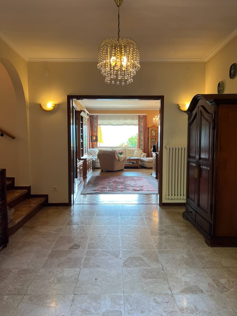 Villa - Morcote (6)