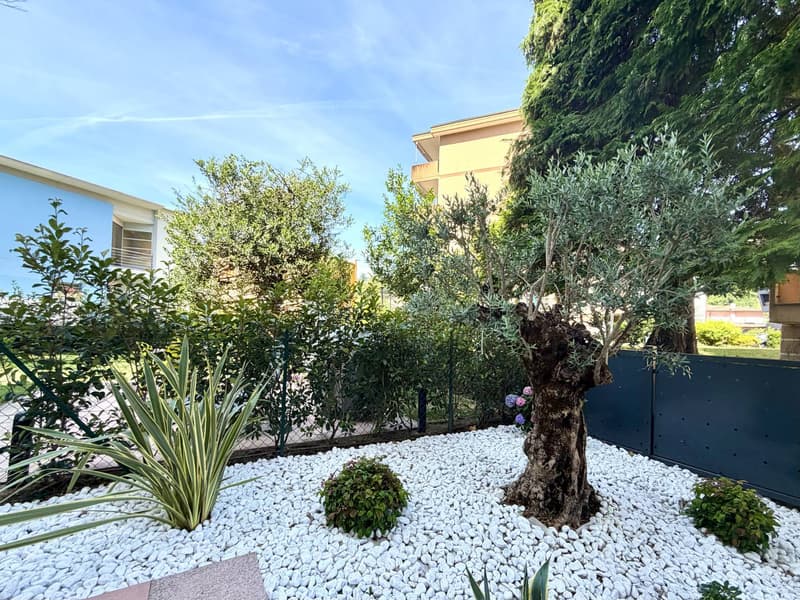 Appartamento - Canobbio (12)