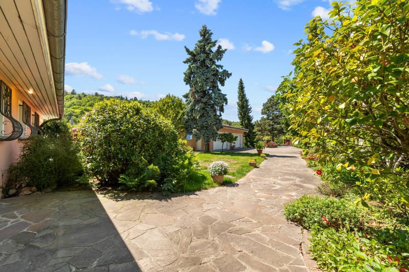 Villa - Curio (12)