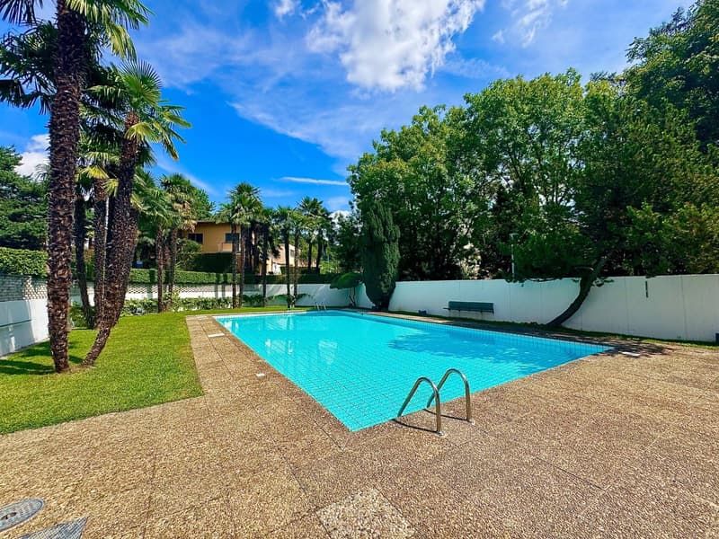 Swimming pool, palm trees, manicured lawn, stone walkway, white wall, bench, lush greenery