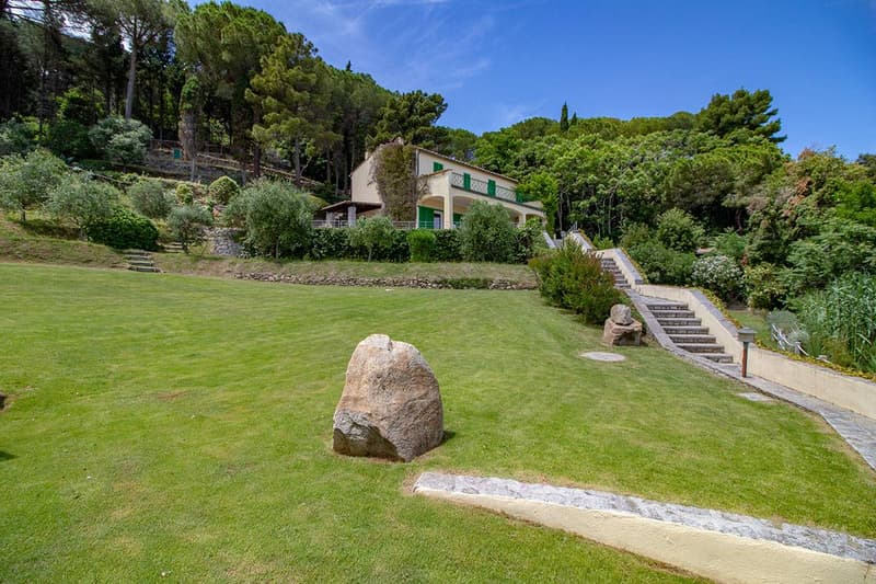 Green lawn, large rock, steps leading to the house, surrounded by trees and bushes
