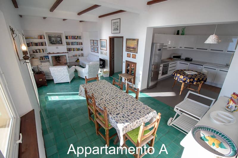 Living room with dining table, chairs, bookshelves, fireplace, lamps, white couches, green tiles, open kitchen, refrigerator, kitchen counter, cabinets