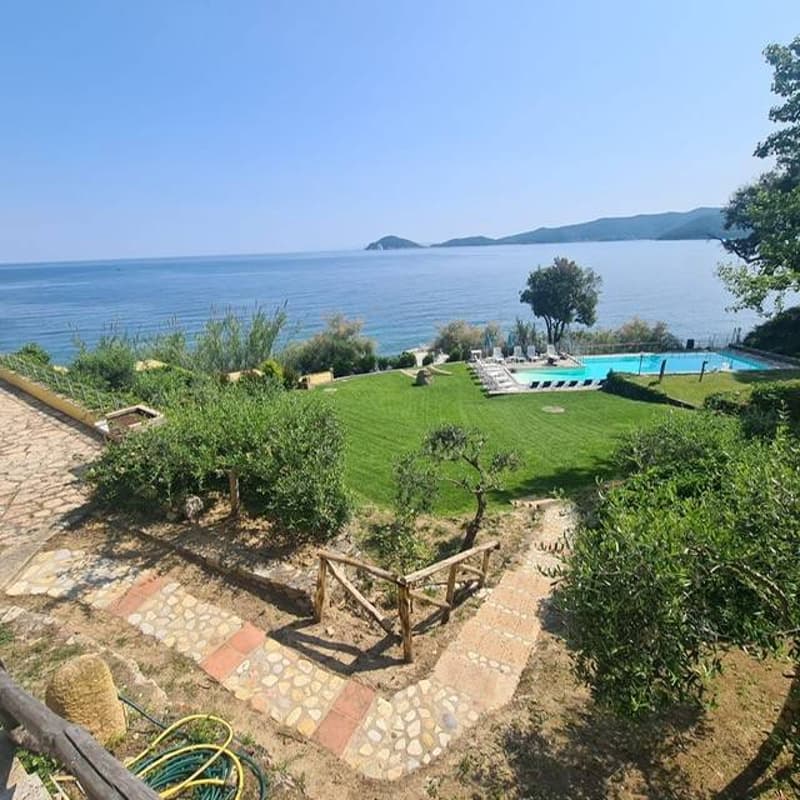 Aerial view of a grassy field with trees and bushes, a swimming pool, a wooden walkway, and a view of the ocean.