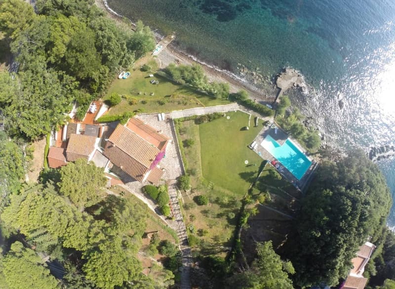 House near the shore with swimming pool, lawn, and lush greenery