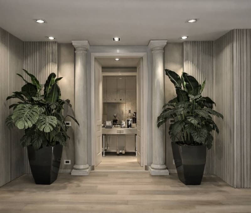 Entrance hall with wooden floor, two large potted plants, two columns, open door leading to a kitchen