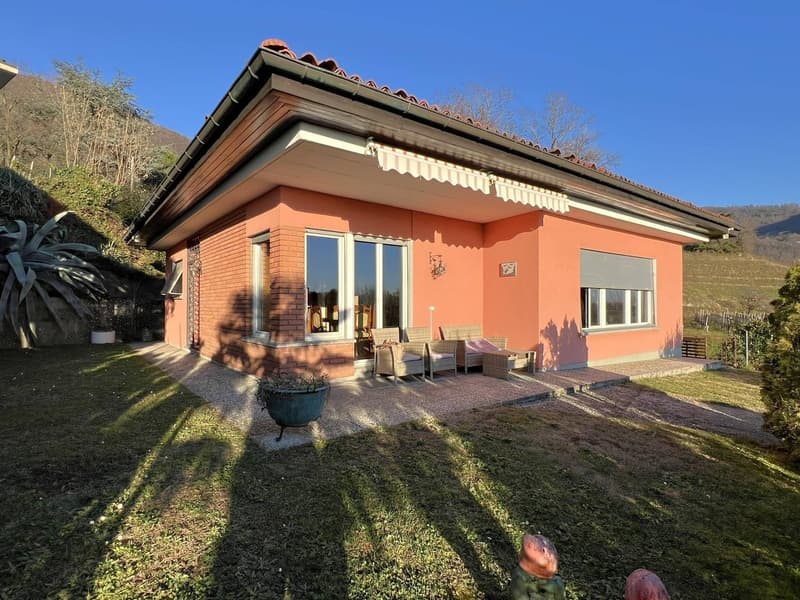 Single-story house, brick walls, red roof, large windows, outdoor seating area, garden, patio