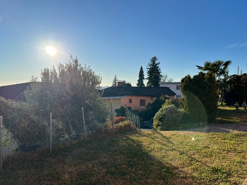 House with a black roof, surrounded by a garden with various plants and trees, under a clear blue sky