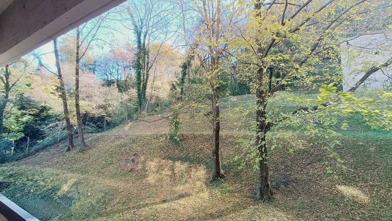 Appartamento completamente ristrutturato, di 3.5 locali a Pazzallo. (11)