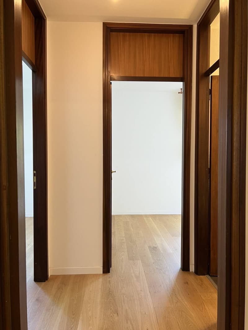 Appartamento completamente ristrutturato, di 3.5 locali a Pazzallo. (6)
