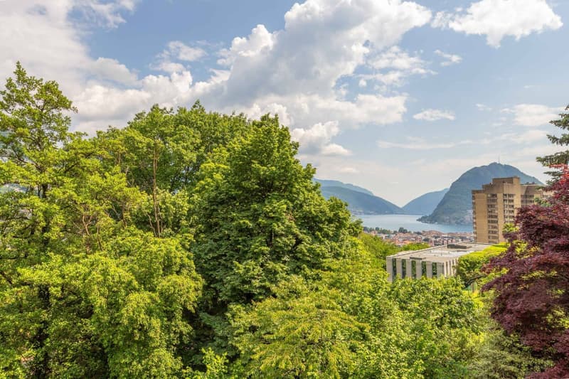 Appartamento immerso nel verde (12)
