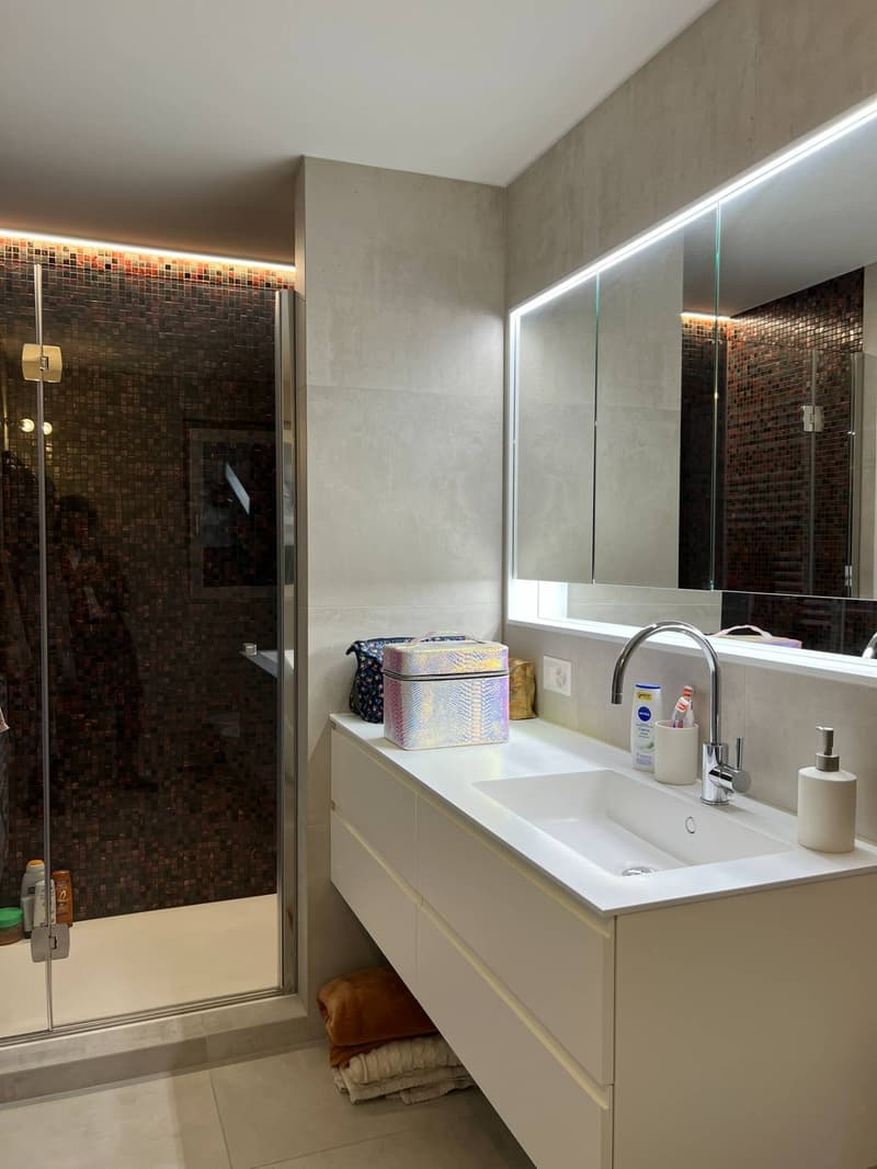 Castagnola - appartamento duplex (11)