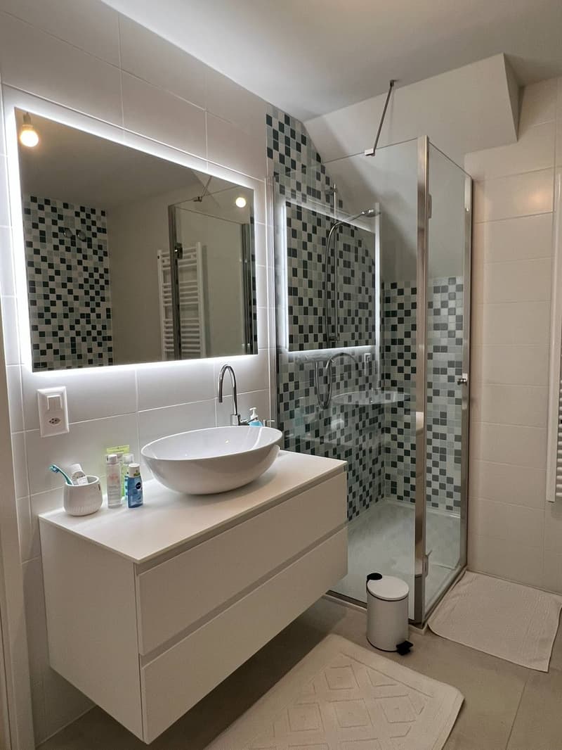Castagnola - appartamento duplex (19)