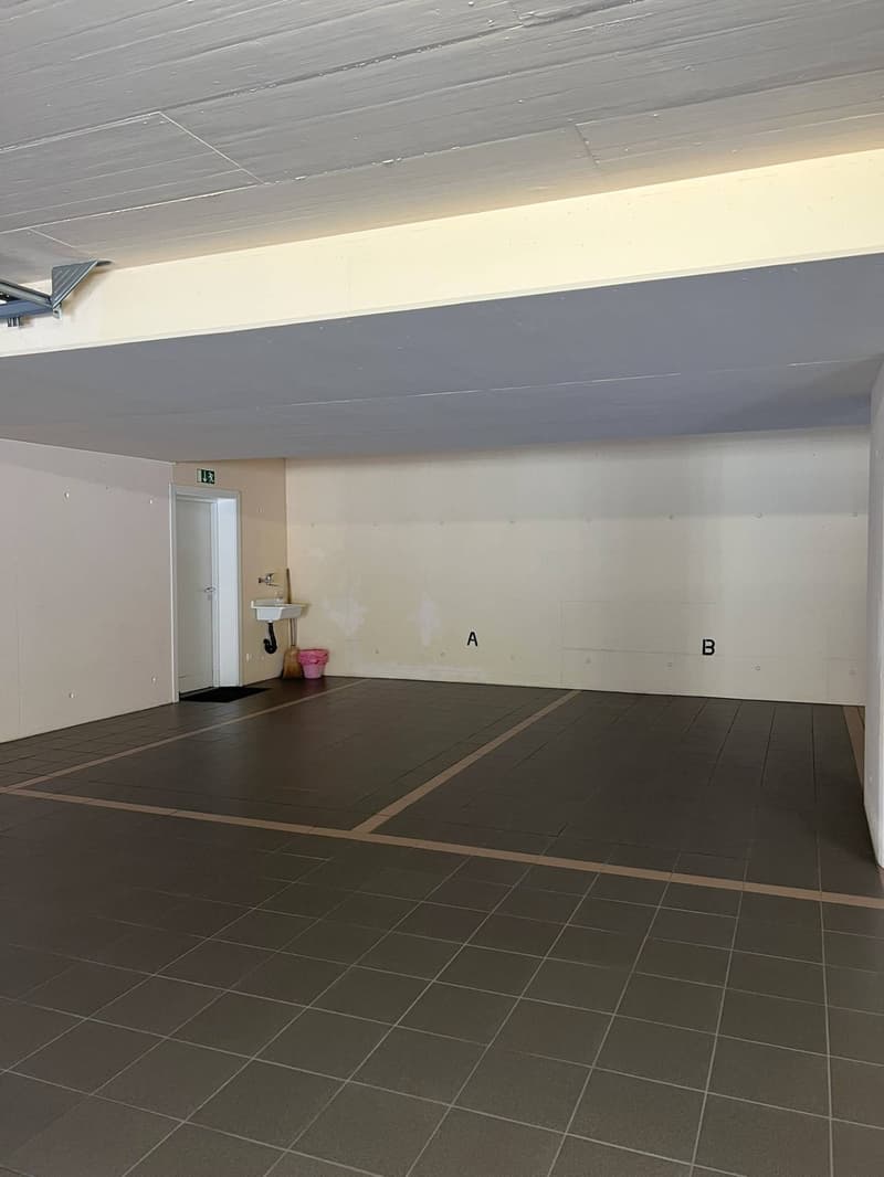 Incantevole appartamento di 3.5 locali con vista lago a Melide (12)