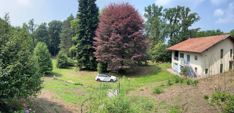 Tenuta con ampio terreno vicino Gallarate (Varese) (18)