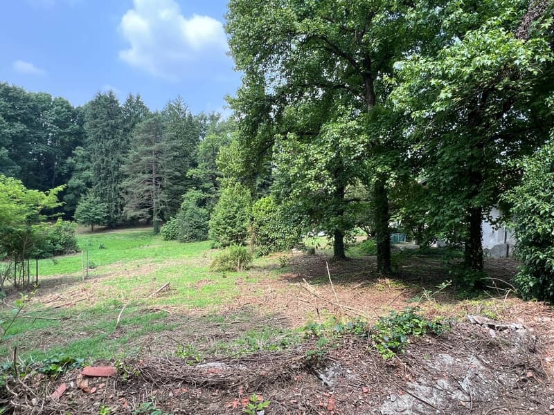 Tenuta con ampio terreno vicino Gallarate (Varese) (17)