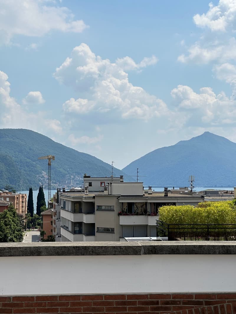 Attico duplex integralmente ristrutturato con materiali di pregio. (12)