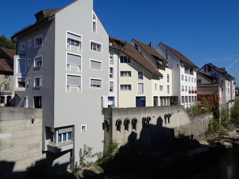 Gemütliche 3-Zimmerwohnung in Brugg (1)