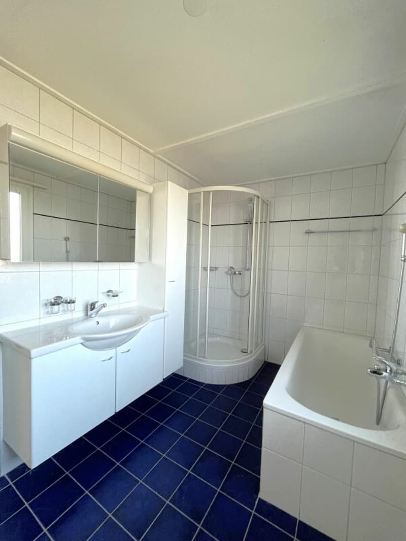 Einfamilienhaus mit Bachanstoss (9)