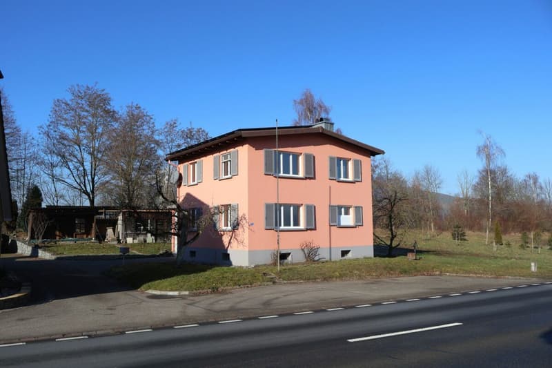 Einfamilienhaus mit Bachanstoss (3)