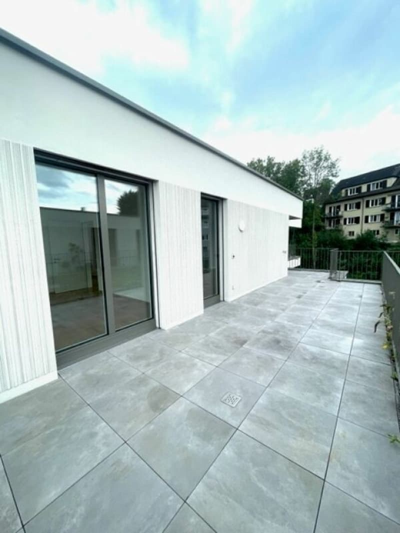 Wunderschöne 4.5 Zimmer-Attikawohnungen in der Neustadt (4)
