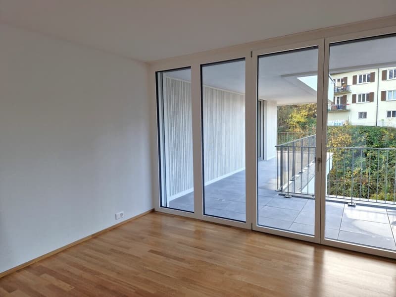 Wunderschöne 4.5 Zimmer-Attikawohnungen in der Neustadt (3)