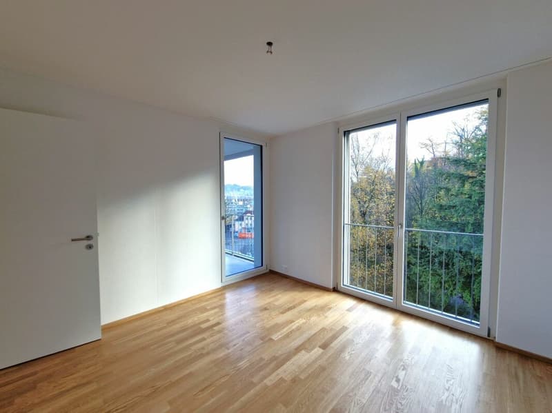 Wunderschöne 4.5 Zimmer-Attikawohnungen in der Neustadt (5)