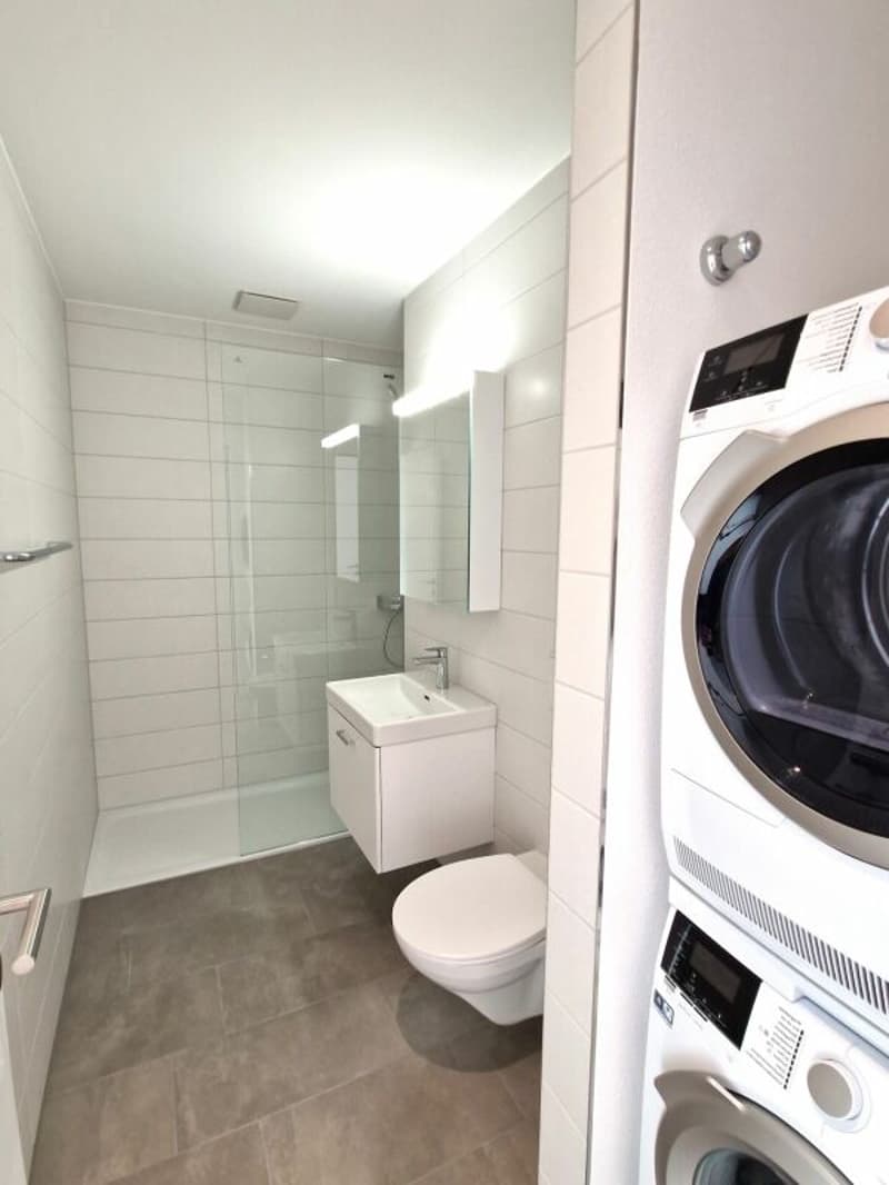 Wunderschöne 4.5 Zimmer-Attikawohnungen in der Neustadt (6)