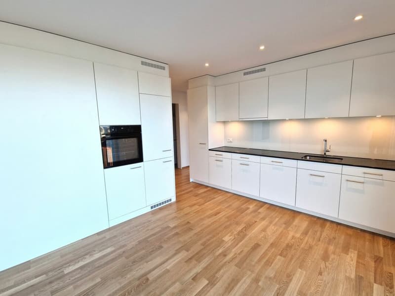 Wunderschöne 4.5 Zimmer-Attikawohnungen in der Neustadt (2)
